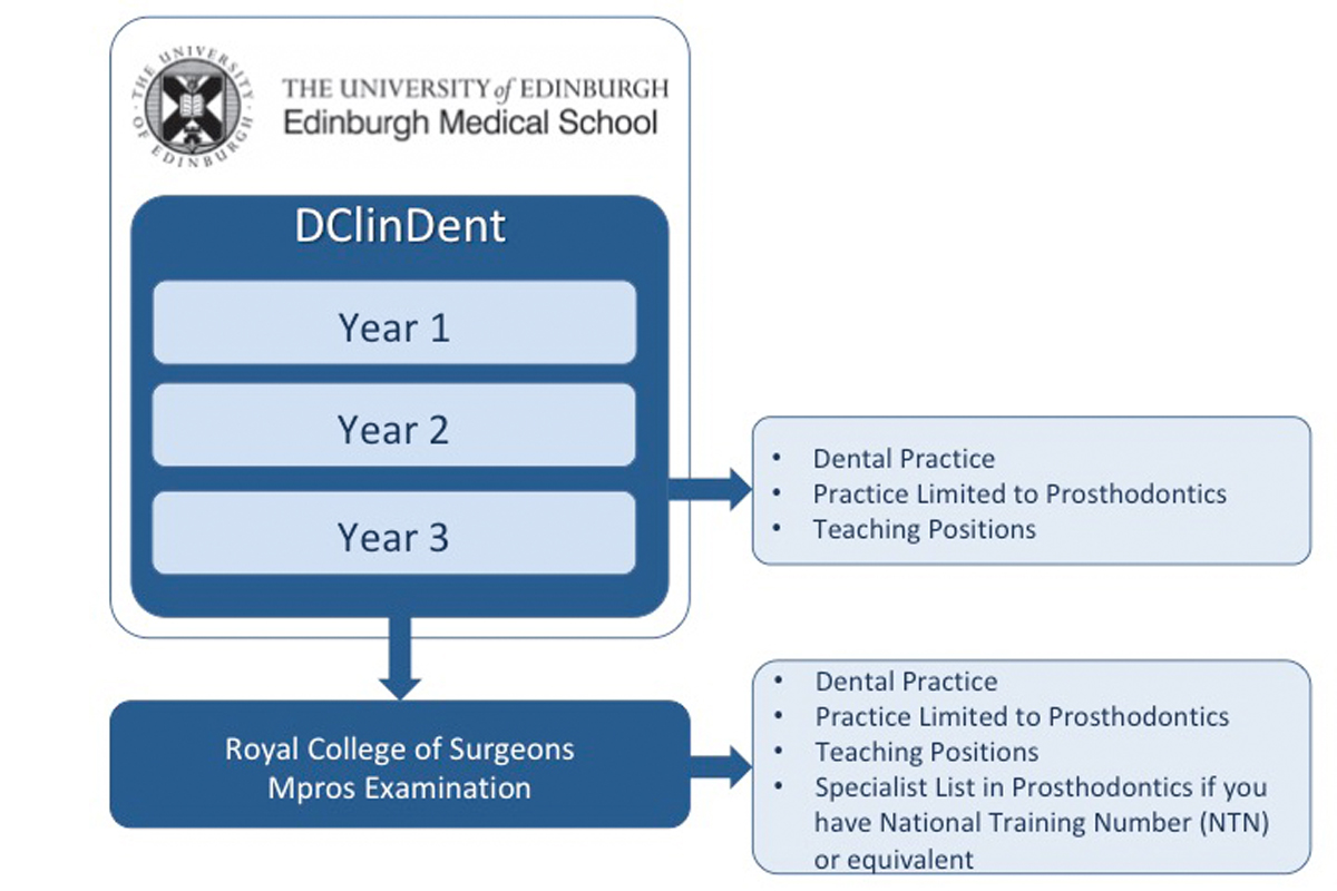Inforgraphic of prosthrodontics programme structure